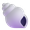 spiral shell